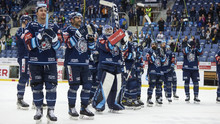 Hokej v číslech: Jak dopadly sezonní predikce? Bílí Tygři Liberec